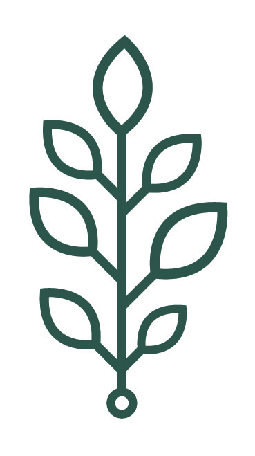 Joan and Tim Fenton Foundation logo